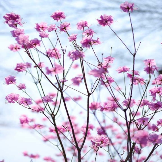 K-beauty à la RIVIERAClinic